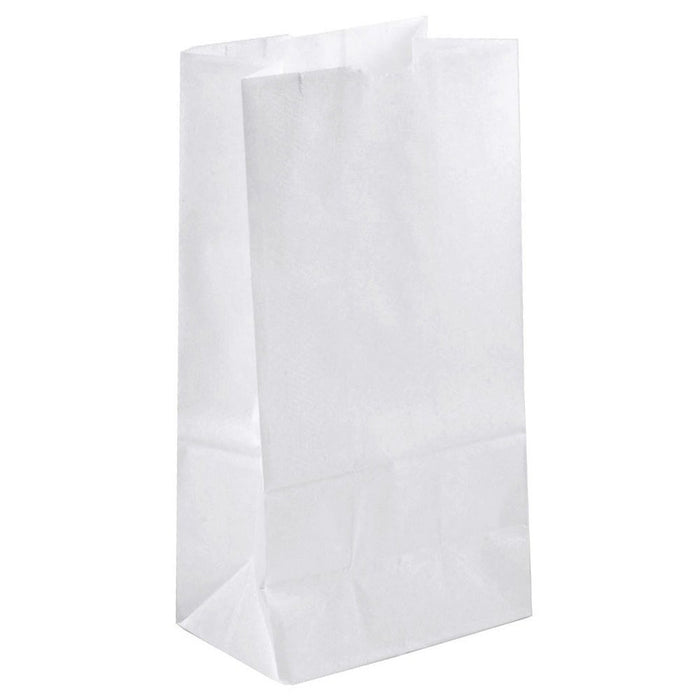 Durable Paper Lunch Bags for All Ages