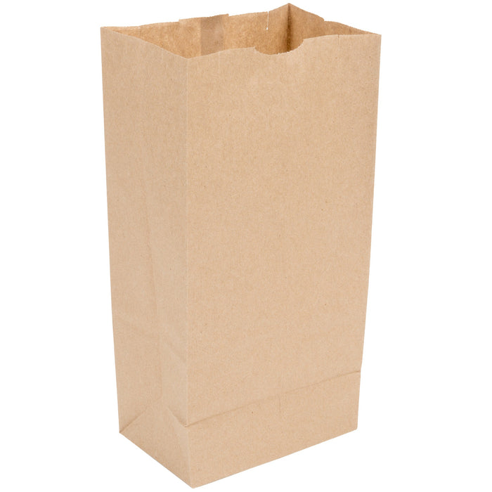 Durable Paper Lunch Bags for All Ages